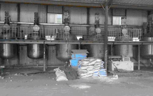 �����S�O����գ������S���w�������